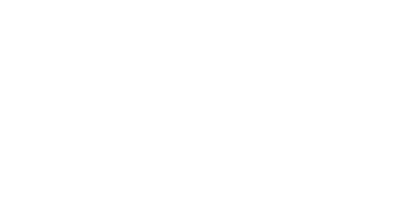 Wells Fargo