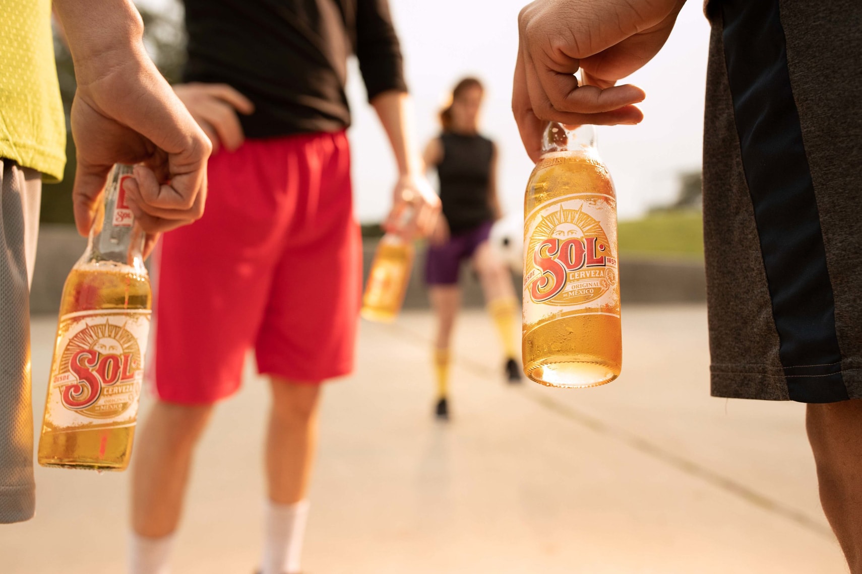 Sol Beer · Shine 2.0 — 6